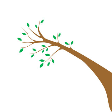 brown tree branch with green leaves clip art preview