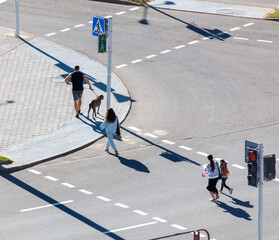 Obraz premium A group of people are crossing a street with a dog