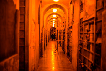 Fototapeta premium 2023 12 31 Milano walking 14