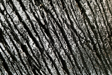 texture of the stone