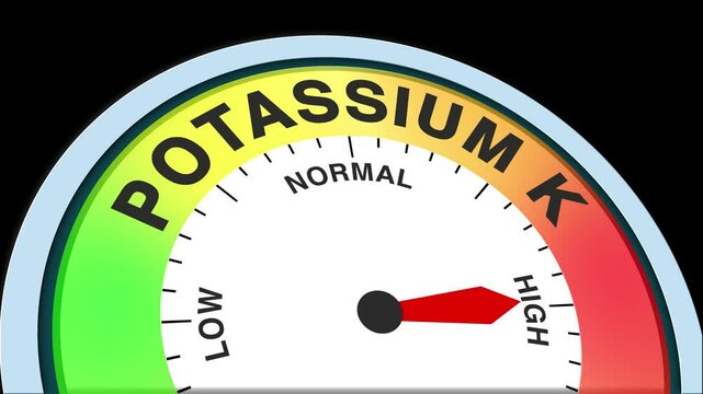 Potassium K Level Text or Word Low and Medium to High Meter Concept Animation on Black Background and Blue Screen