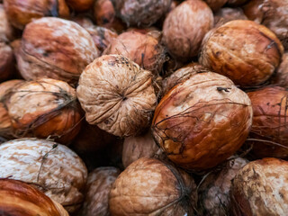 The harvested crop of walnuts in close-up