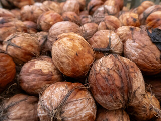 The harvested crop of walnuts in close-up