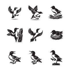 Obraz premium Collection of Dovekie Vector illustration - Cute Little Auk Bird Silhouette Design