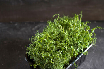 Microgreens peas in a black container stand on the table