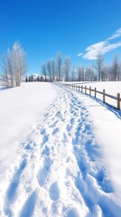 Obraz premium A serene snowy path leading through a winter landscape under a clear blue sky.