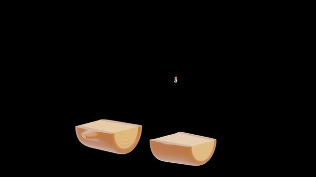 3D Animation of Wood Cutting Axe | Alpha Channel
