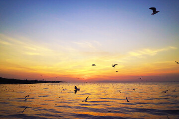Calm Sea at Dawn with Flocks of Early Birds Flying