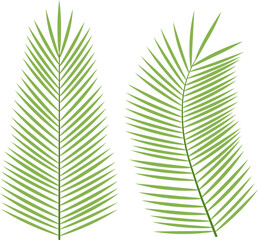 Green vector icons - decorative palm leaves.