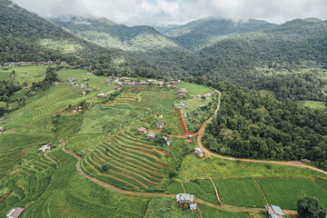 rice fields on a mountain and take photo in the Ban Pa Bong Piang, Mae Chaem District, Chiang Mai Province, northern Thailand in the rainy season.