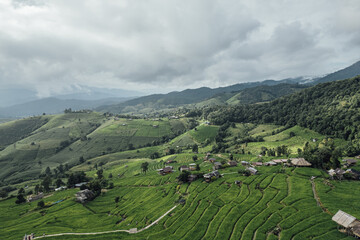 rice fields on a mountain and take photo in the Ban Pa Bong Piang, Mae Chaem District, Chiang Mai Province, northern Thailand in the rainy season.