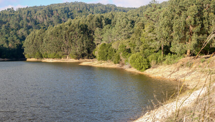 Rio da mula dam reflecting the sunny forest in sintra, portugal