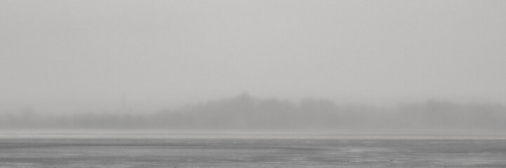 outdoor coastal view and forest in misty weather
