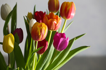 strauss verschieden farbiger Tulpen