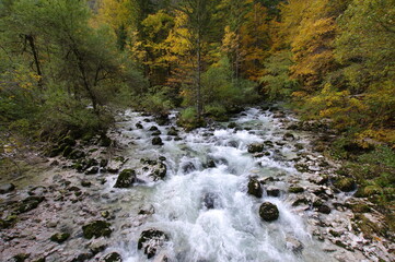 The path to the Savica Falls 