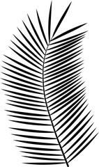 Black icon - classic palm branch