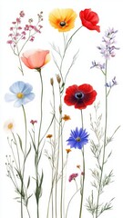 Fototapeta premium Beautiful seamless floral water color pattern Set, watercolor wild flowers, leaves and grass,Collection botanic garden elements. Vector isolated illustration in rustic or vintage style,copy space.