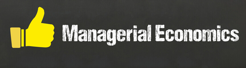 Managerial Economics