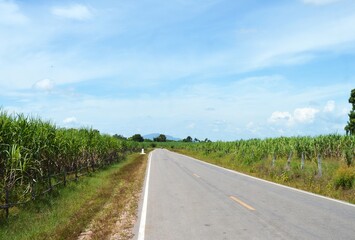 road in the countryside