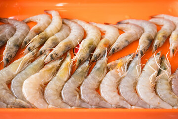 Fresh Raw Shrimps on Orange Tray for Culinary Use