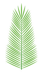 Green vector icon - decorative palm leave