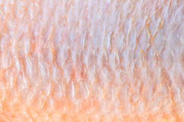 Pink fish skin background texture