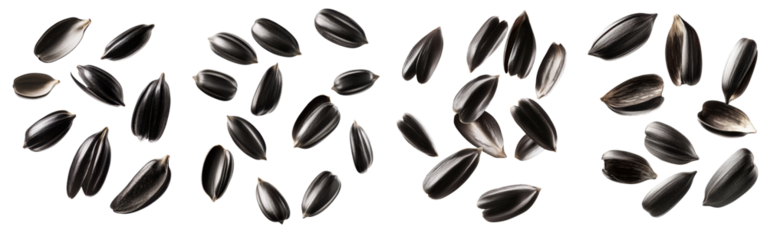 The image features scattered black seeds on a white background, showcasing their shiny, smooth texture and varied shapes. transparent background