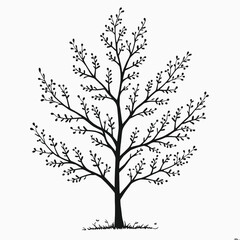 Obraz premium a black and white line drawing of a tree branch