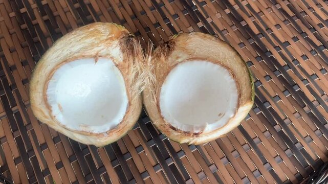 Coc&ocirc; alimento 