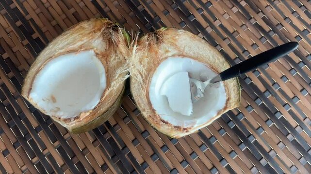 Coc&ocirc; alimento 