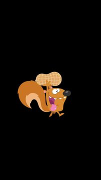 Crazy Squirrel Cartoon Character Running With Peanut. 4K Animation Vertical Video Motion Graphics Without Background
