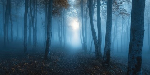 Obraz premium Path leading through a dark and foggy forest at night