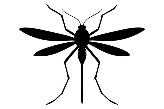 recommend clip art: Mosquito Silhouette | isolated vector silhouette illustration on white background