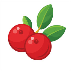 Obraz premium vector illustration of cranberry 