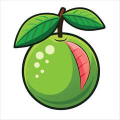 guava best stock design