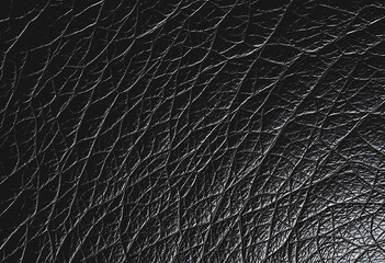 black leather background