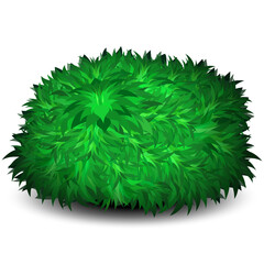 A lush, green bush with a rounded shape casts a shadow isolated on a white background.