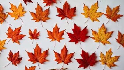 Fototapeta premium Autumn Leaves