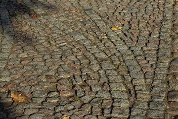 Autumn Abstract cobblestone background. High quality photo