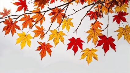 Autumn Leaves