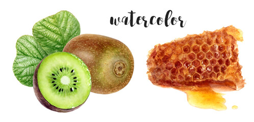 Hand-Painted Watercolor Honeycomb and Kiwi Botanical Illustration