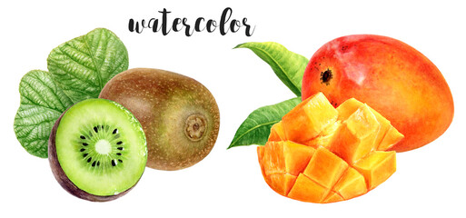 Hand-Painted Watercolor Kiwi and Mango Botanical Illustration