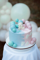 Cake for gender party. Decorations for determining the gender of the child. Blue and pink colors of decor. Photo zone in the nature in the forest. Boy or girl?