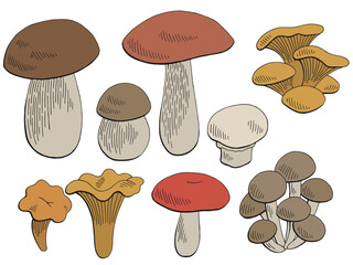 Mushrooms set graphic color isolated sketch illustration vector
