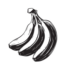 Bananas In cartoon, hand-drawn flat style. image for social media, websites and UI. Isolated 2D vector design in logo, icon, sketch style, simple line vector, single color. AI Generative Art.