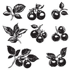 Blueberries In cartoon, hand-drawn flat style. image for social media, websites and UI. Isolated 2D vector design in logo, icon, sketch style, simple line vector, single color. AI Generative Art.