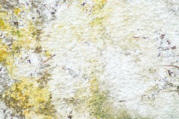 Obraz premium wall or fence, old wall or old fence or cement wall or cement wall texture