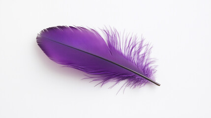 A purple feather lies on a white background. It has a smooth central part and a fluffy tip, creating a soft and light appearance