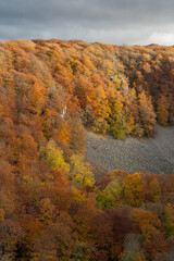 Obraz premium S?der?sen national park during autumn in southern Sweden. Nature background.