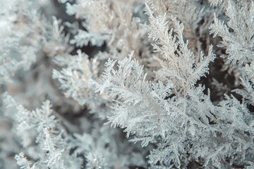 Intricate Frost Crystals on Glass Surface Up Close